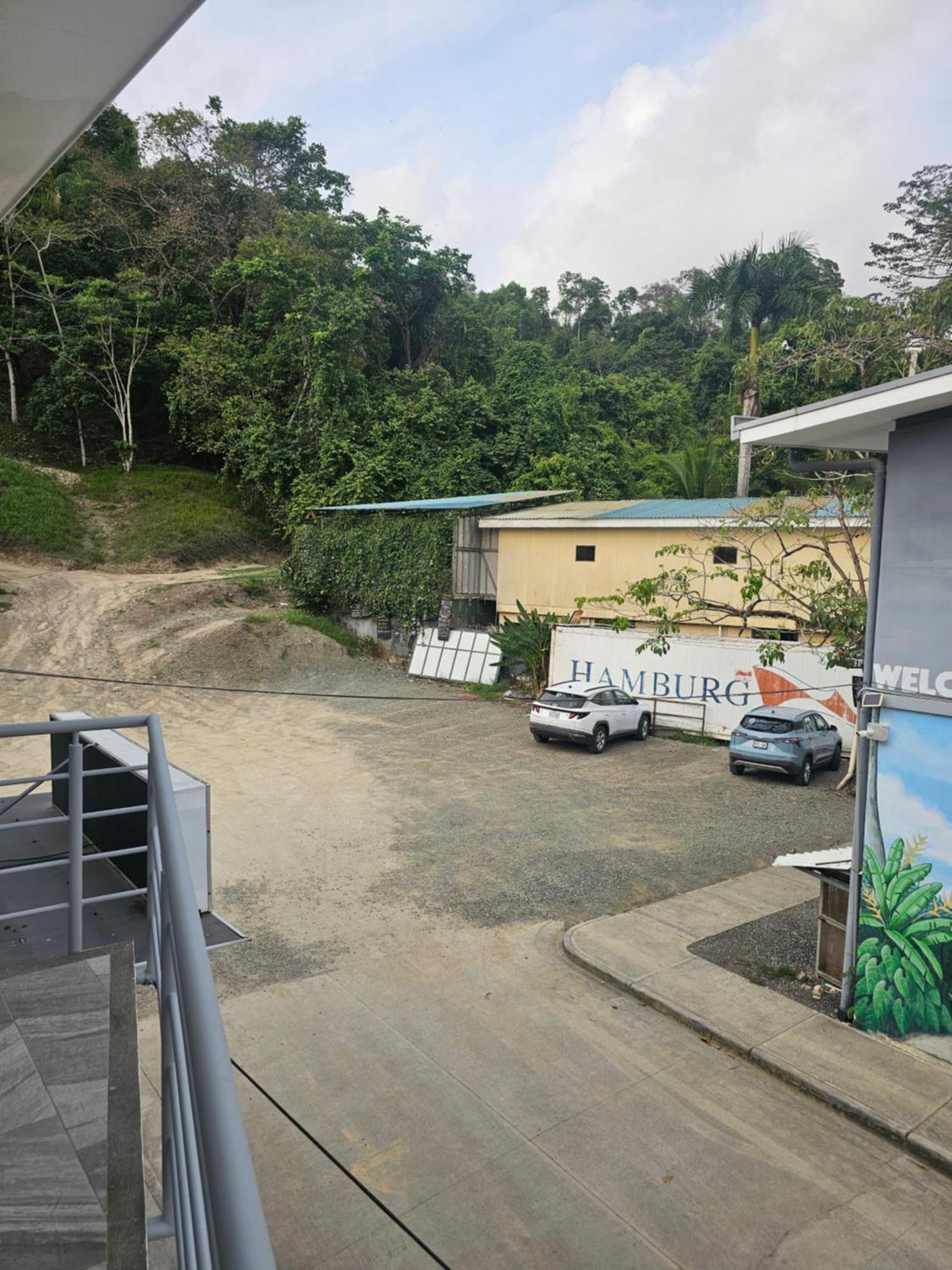 Pura Vida Apartments Quepos Rum bild