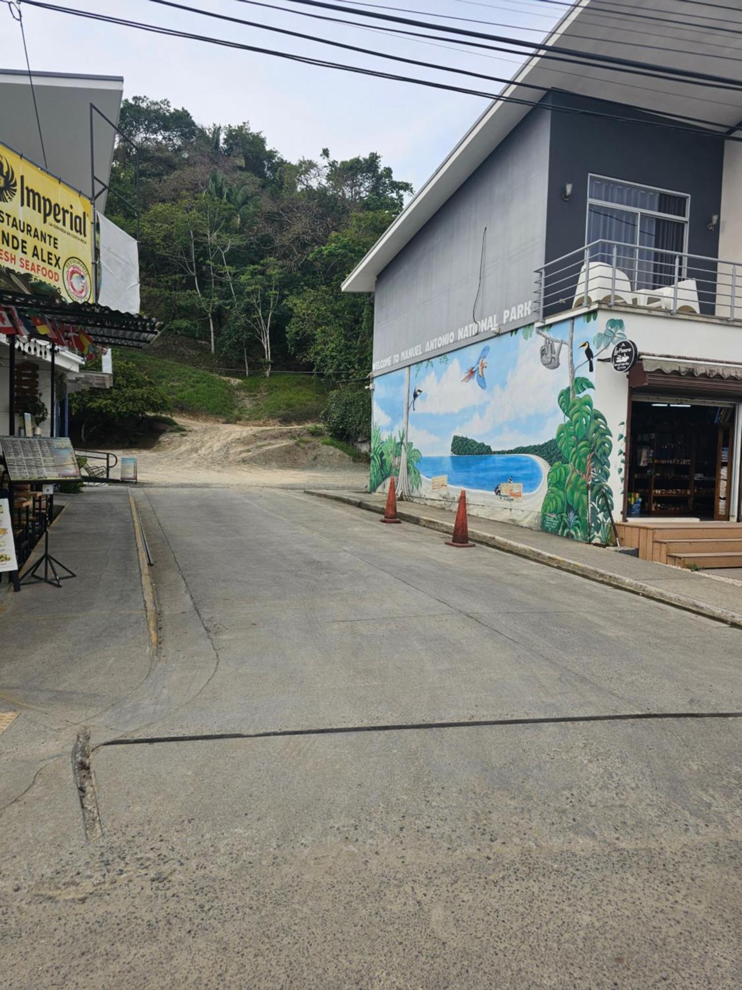 Pura Vida Apartments Quepos Rum bild